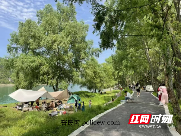 夏日悠闲桂花岛.jpg 夏日悠闲桂花岛.jpg