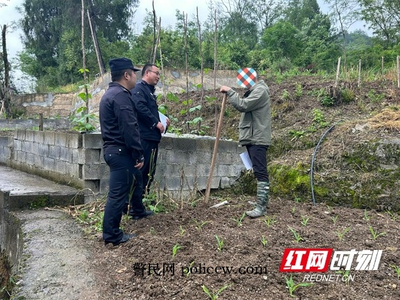 图片14.marked.jpg