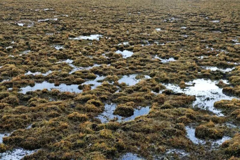 【阅图】长征——永不磨灭的记忆